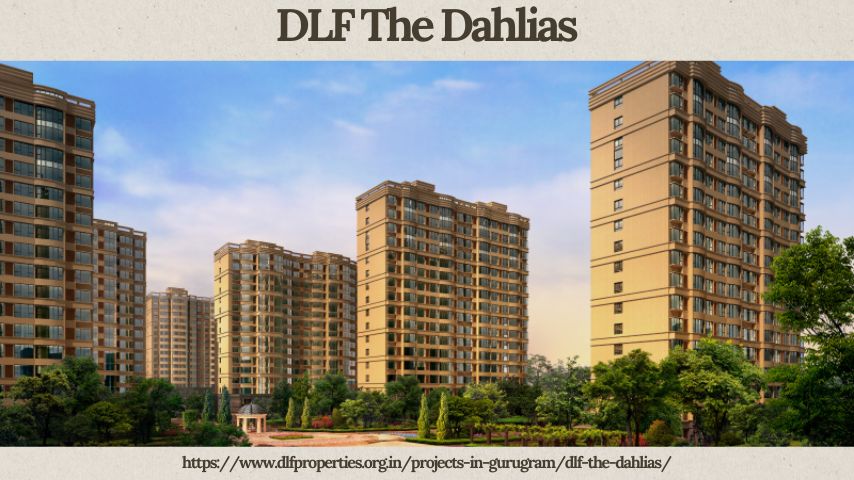 DLF The Dahlias
