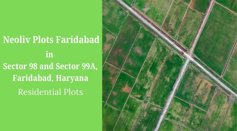 Neoliv Plots Faridabad